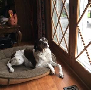 Meet your Posher, Nella maria